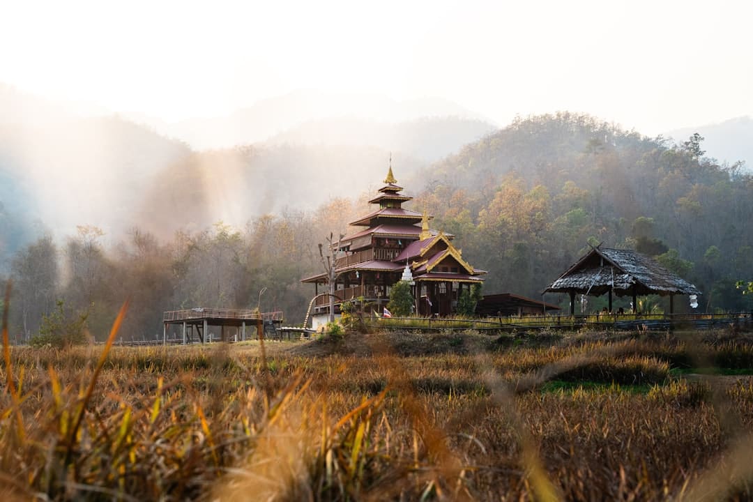 https://aliypic.oss-cn-hangzhou.aliyuncs.com/Uploadfiles/20230920/2023092016254288.001.png
